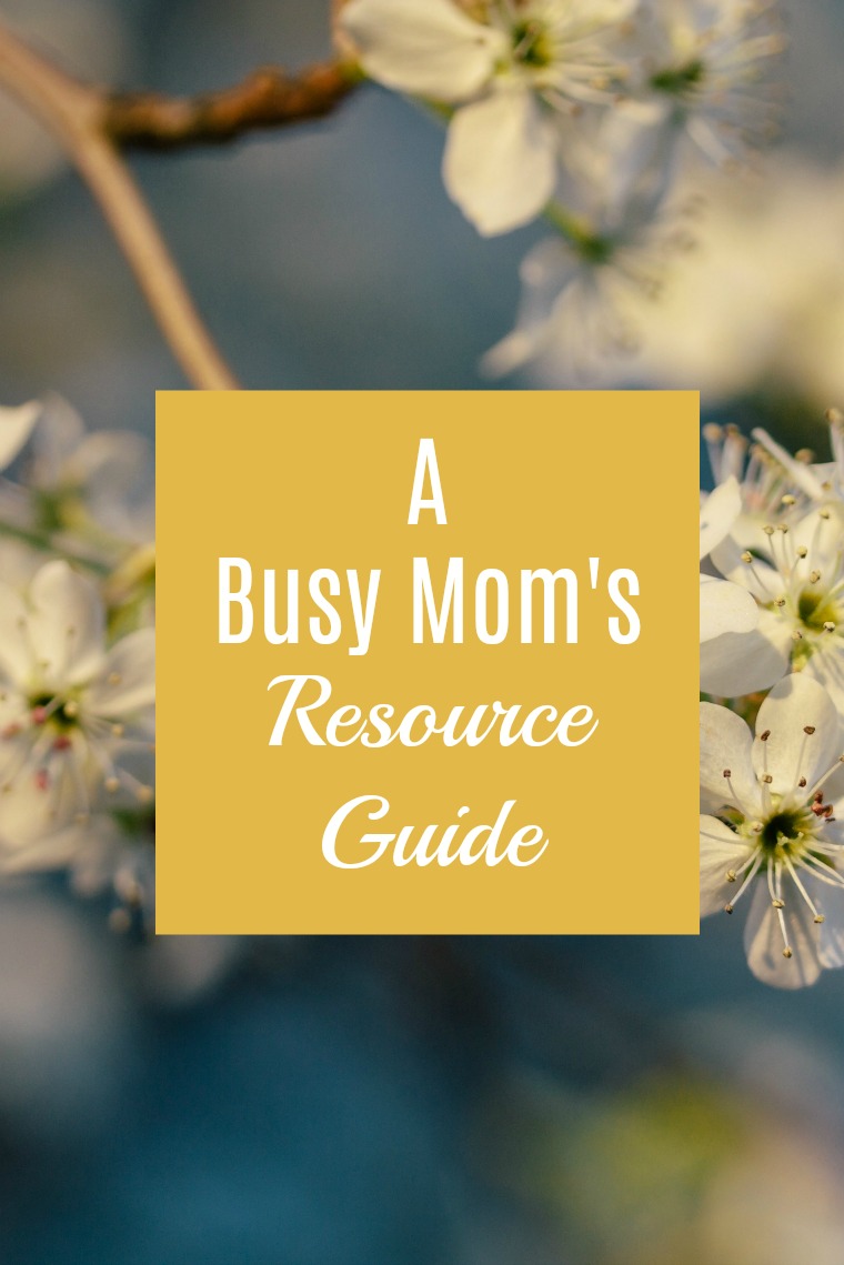 image of flowers with yellow box reading \"a busy moms resource guide\"