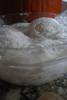 sourdough starter fermenting in glass bowl