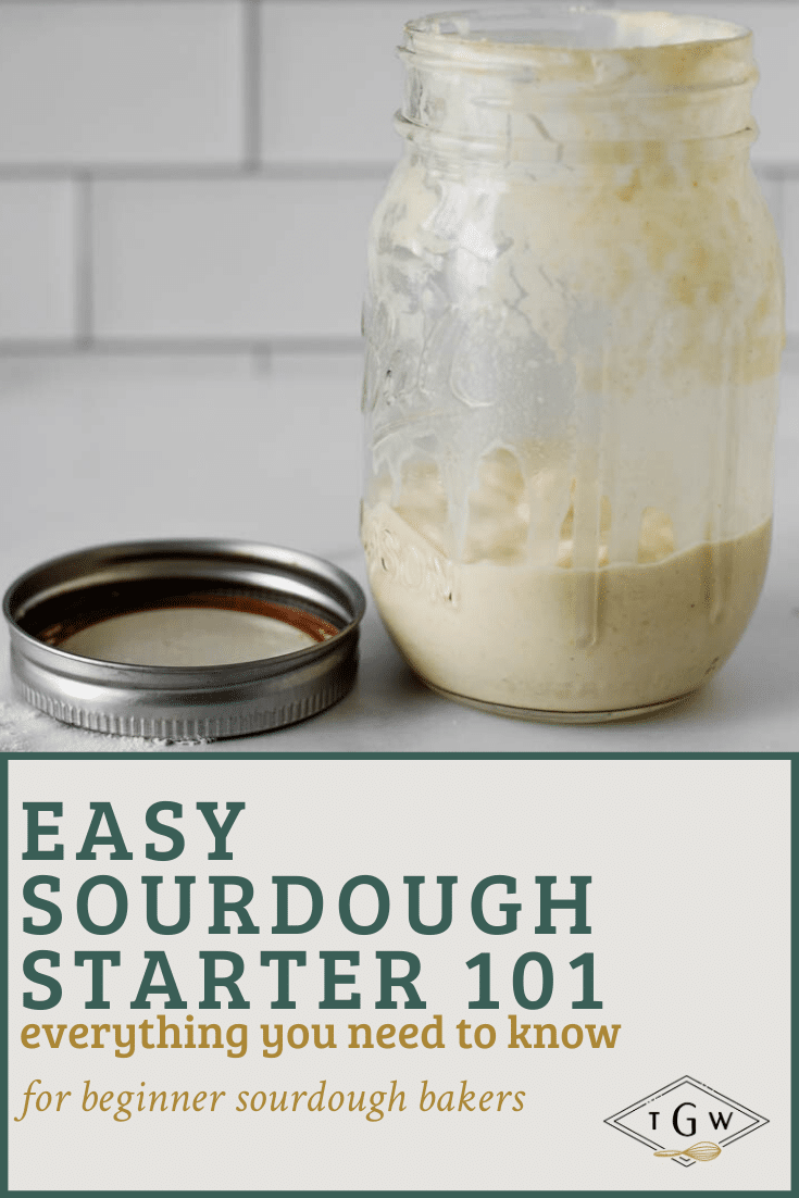 Everything You Need to Know About Sourdough Starter