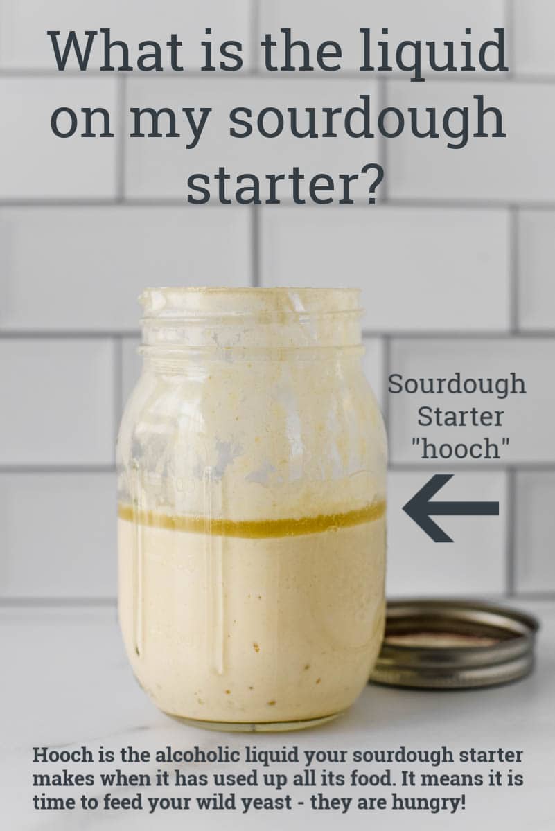 jar with sourdough starter showing a layer of hooch in the jar