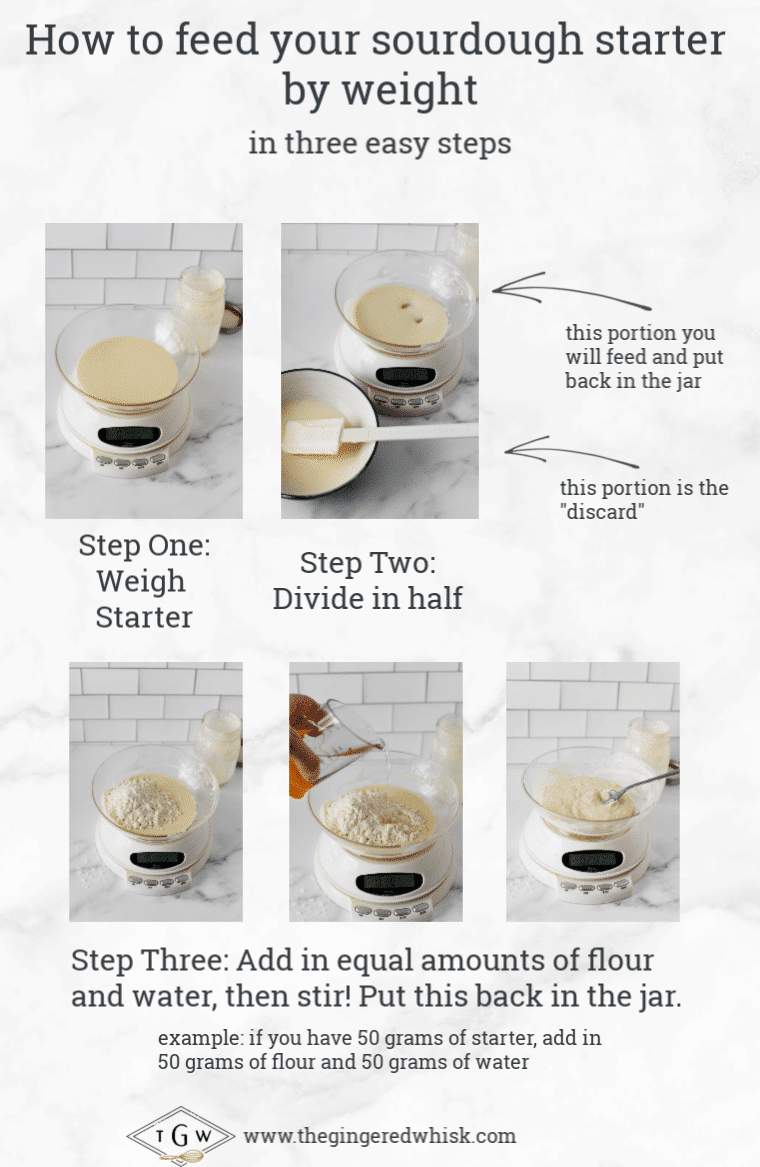 collage of images showing how to feed sourdough starter by weight