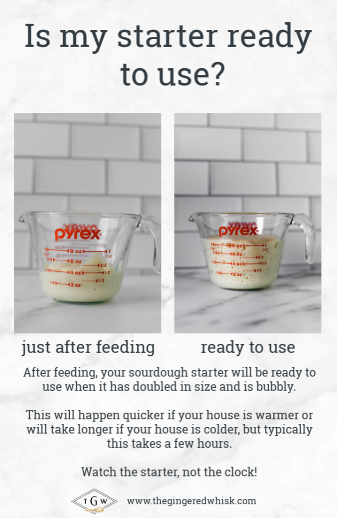 image showing two measuring cups with sourdough starter and when starter is ready to use