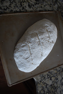 san fransisco sourdough bread loaf ready to be baked