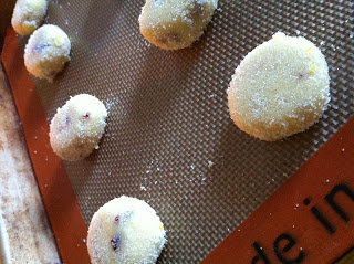 cranberry orange cookies on baking sheet before baking
