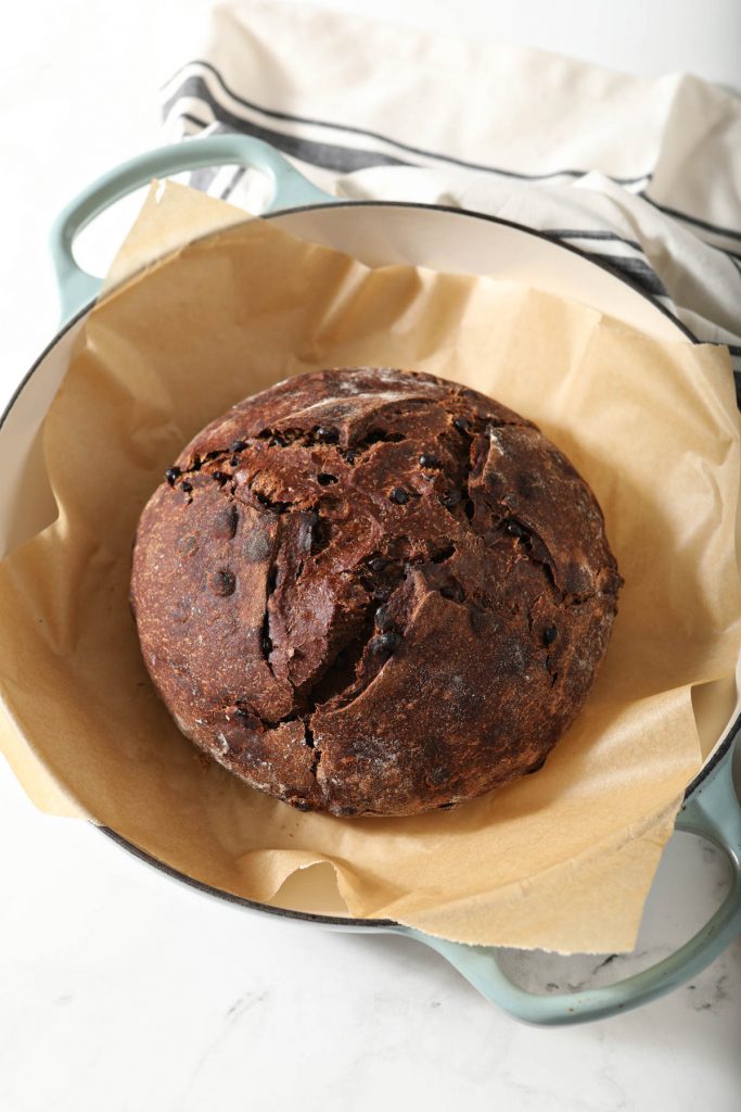 freshly baked italian chocolate bread on parchment in a dutch oven