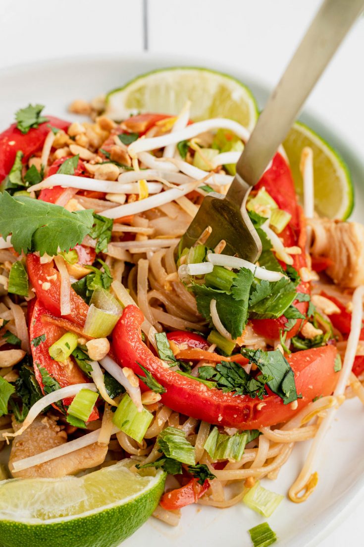 30 Minute Chicken Pad Thai Recipe - The Gingered Whisk