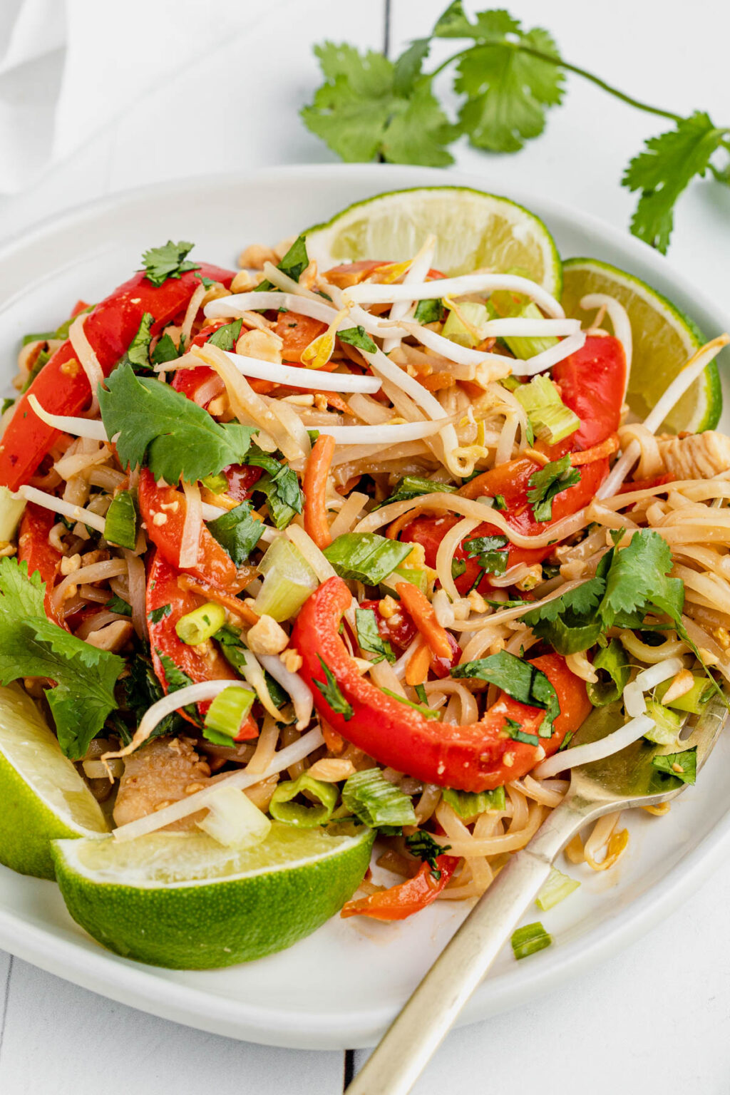 30 Minute Chicken Pad Thai Recipe The Gingered Whisk