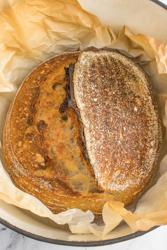 freshly baked sourdough loaf in dutch oven