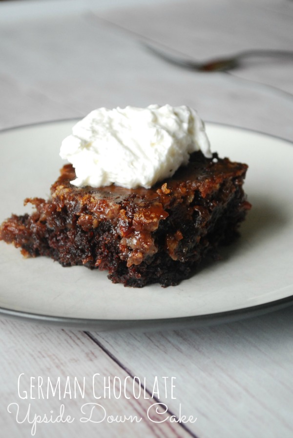 A piece of cake on a plate with whipped cream