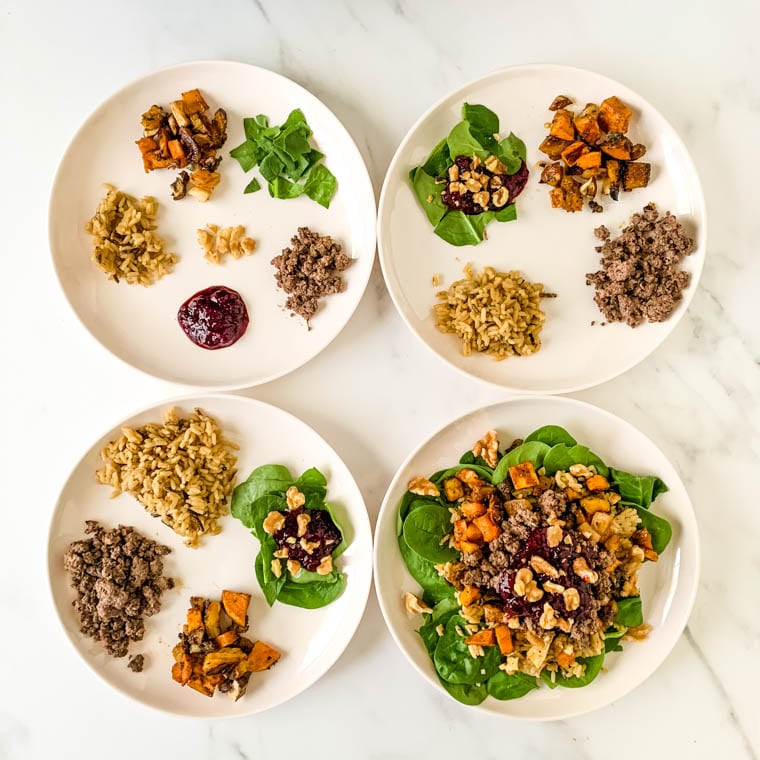 four plates with plating for harvest bison bowls for adult, toddler, and kids.