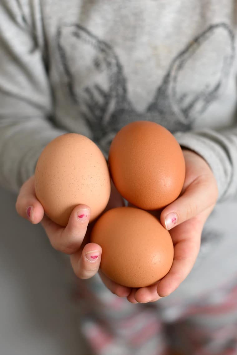 Child Holding Eggs