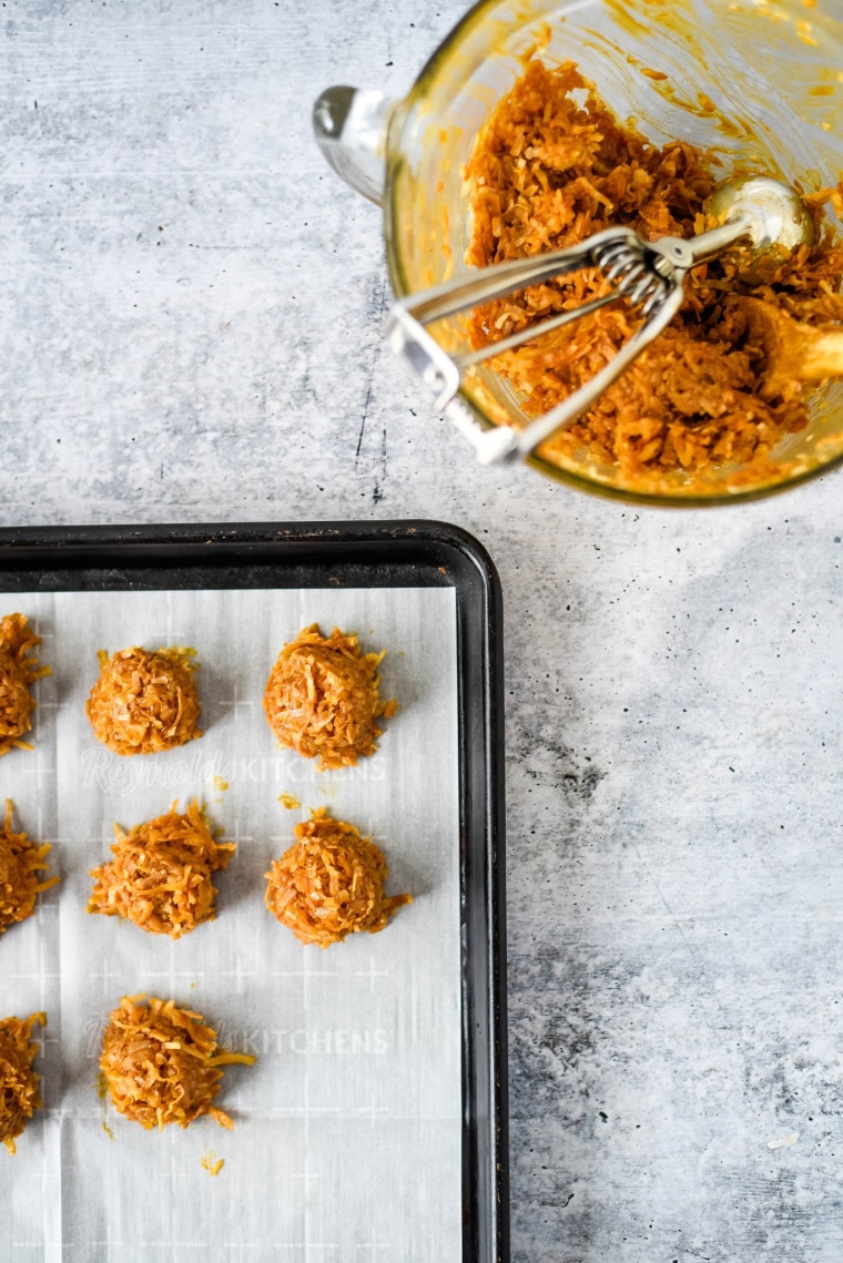 scooping cicadas onto cookie sheet