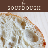 slice of sourdough bread