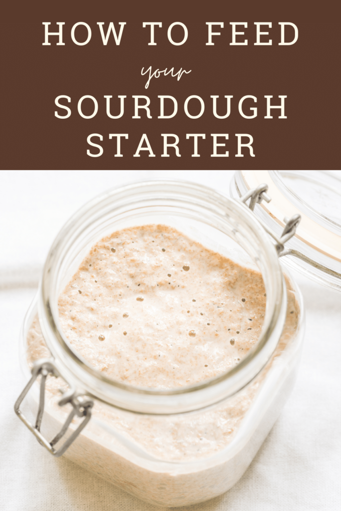 Feeding Sourdough Starter - The Gingered Whisk