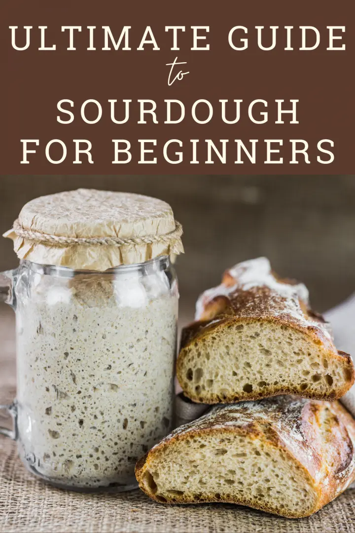 Sourdough for Beginners - The Gingered 