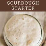 graphic image of sourdough starter with text "how t start a sourdough starter"