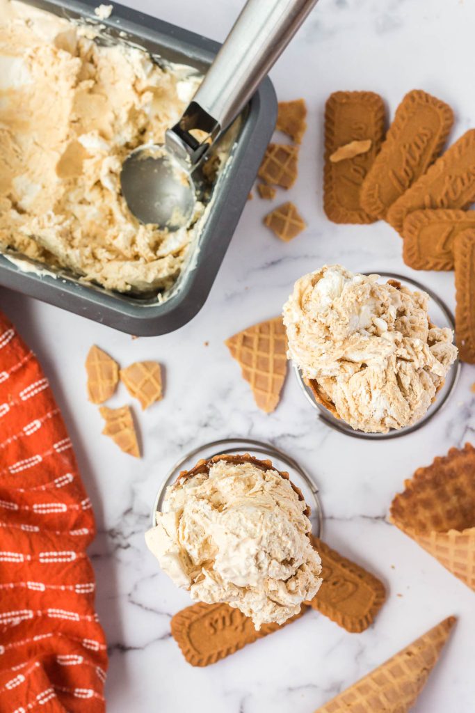 gingerbread ice cream in dishes with cookies around