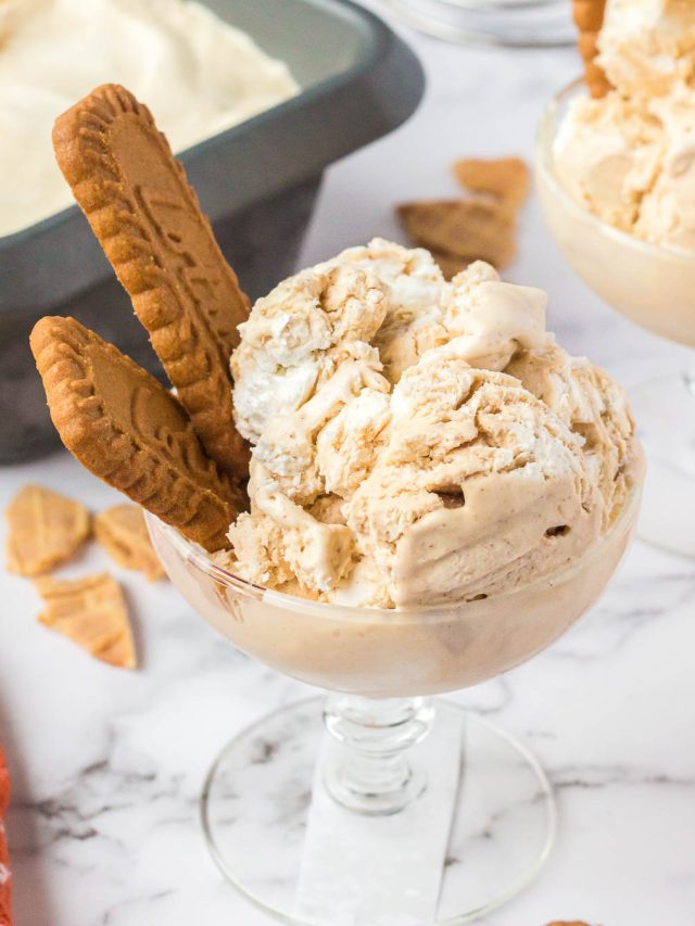 How to Make NoChurn Gingerbread Ice Cream The Gingered Whisk