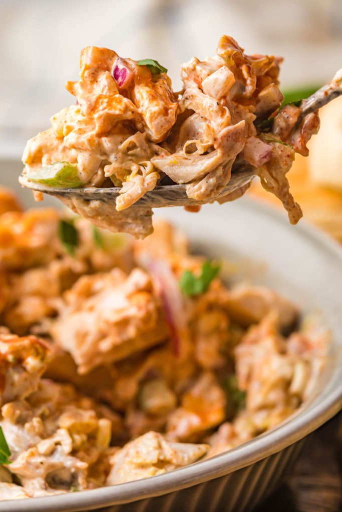 spoon with cajun chicken salad for sandwich