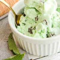 bowl of mint chocolate chip ice cream with spoon