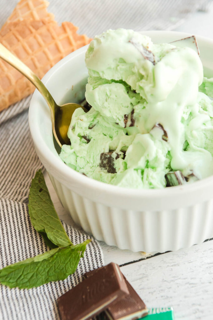 bowl of mint chocolate chip ice cream with spoon