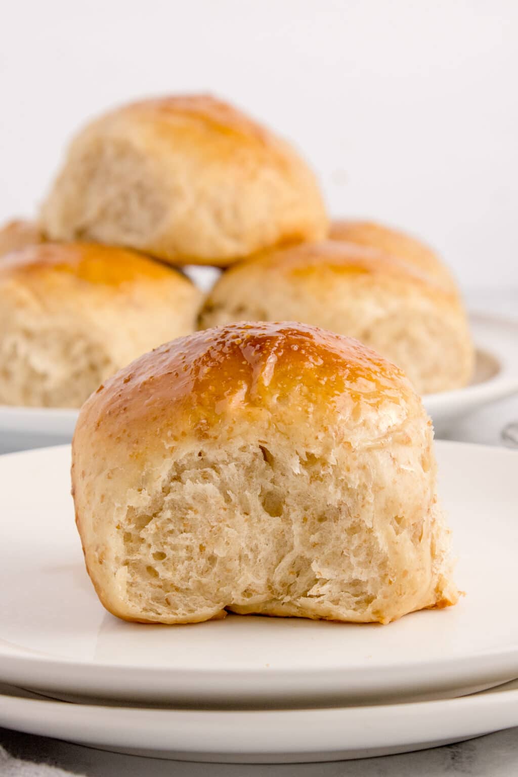 Soft Sourdough Dinner Rolls - The Gingered Whisk