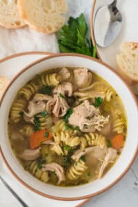 closeup bowl of turkey noodle soup