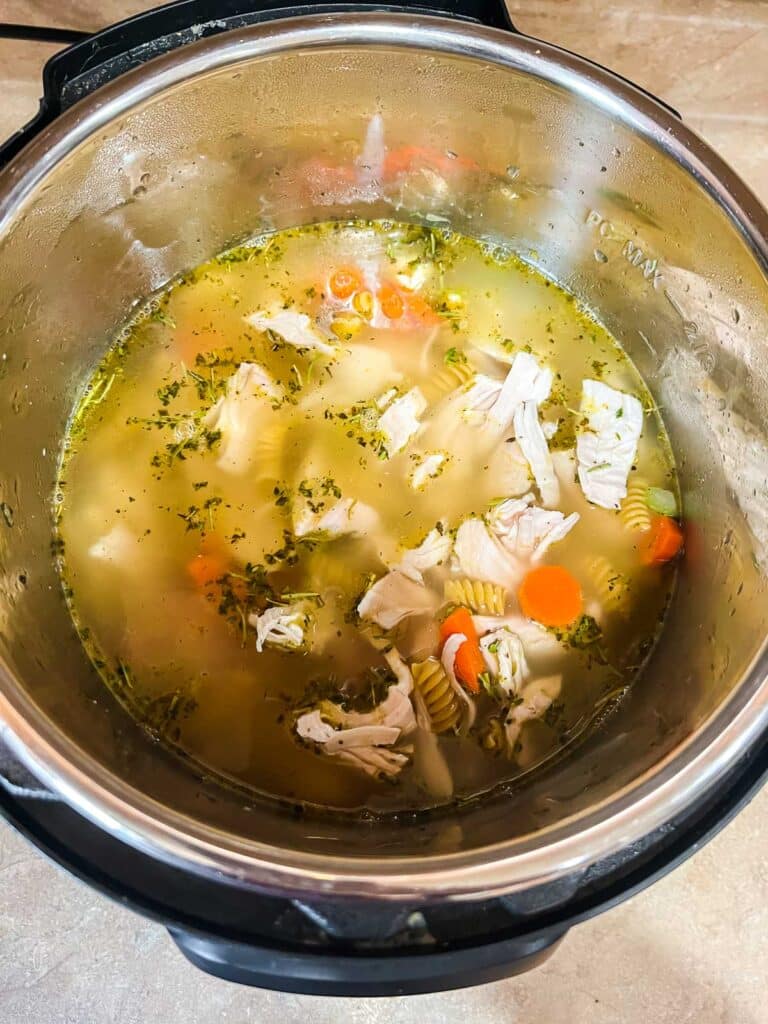 soup ready to cook in instant pot