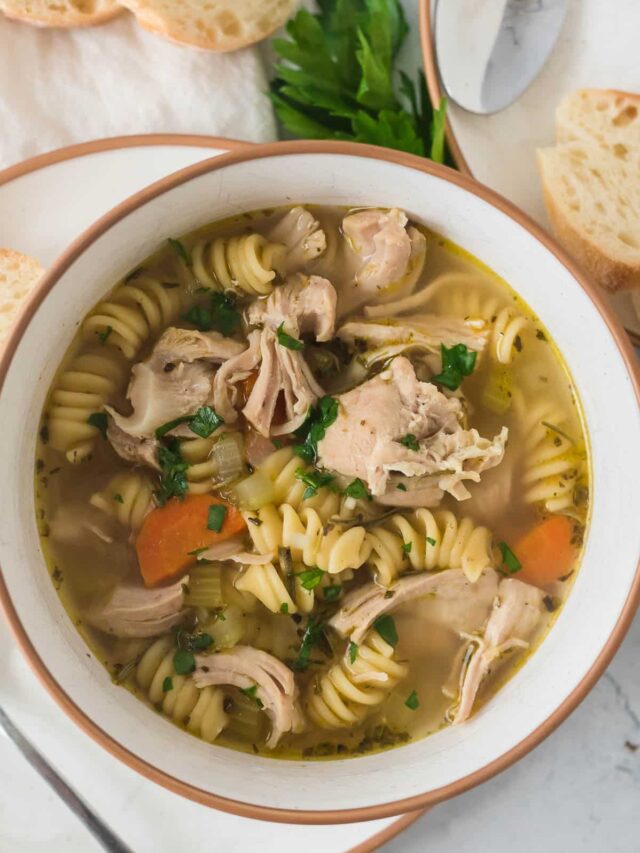 closeup bowl of turkey noodle soup