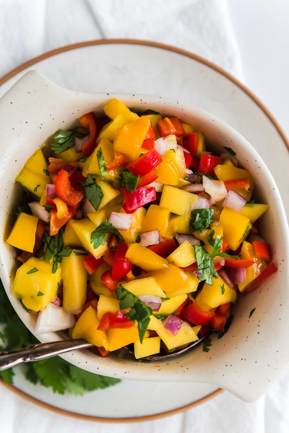 Fresh Mango Salsa