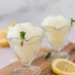 Italian lemon granita in glass ice cream bowls with mint surrounded by lemon slices