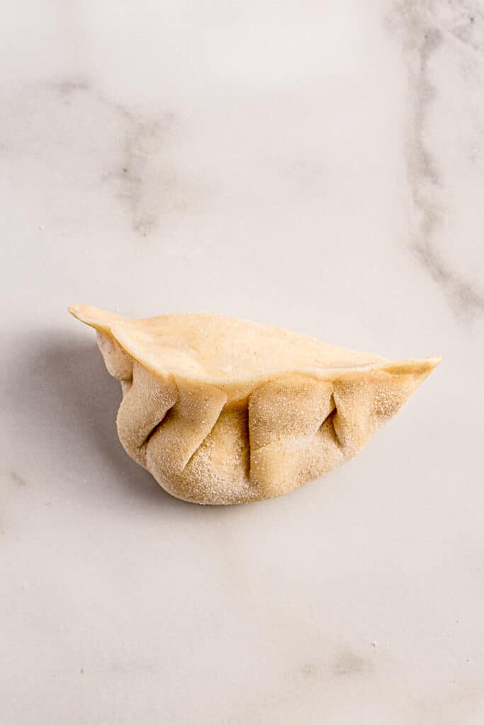 completed asian dumpling